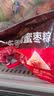 五芳斋 速冻珍味八宝粽 100g*5只 嘉兴粽子甜粽端午粽子早餐食品 实拍图