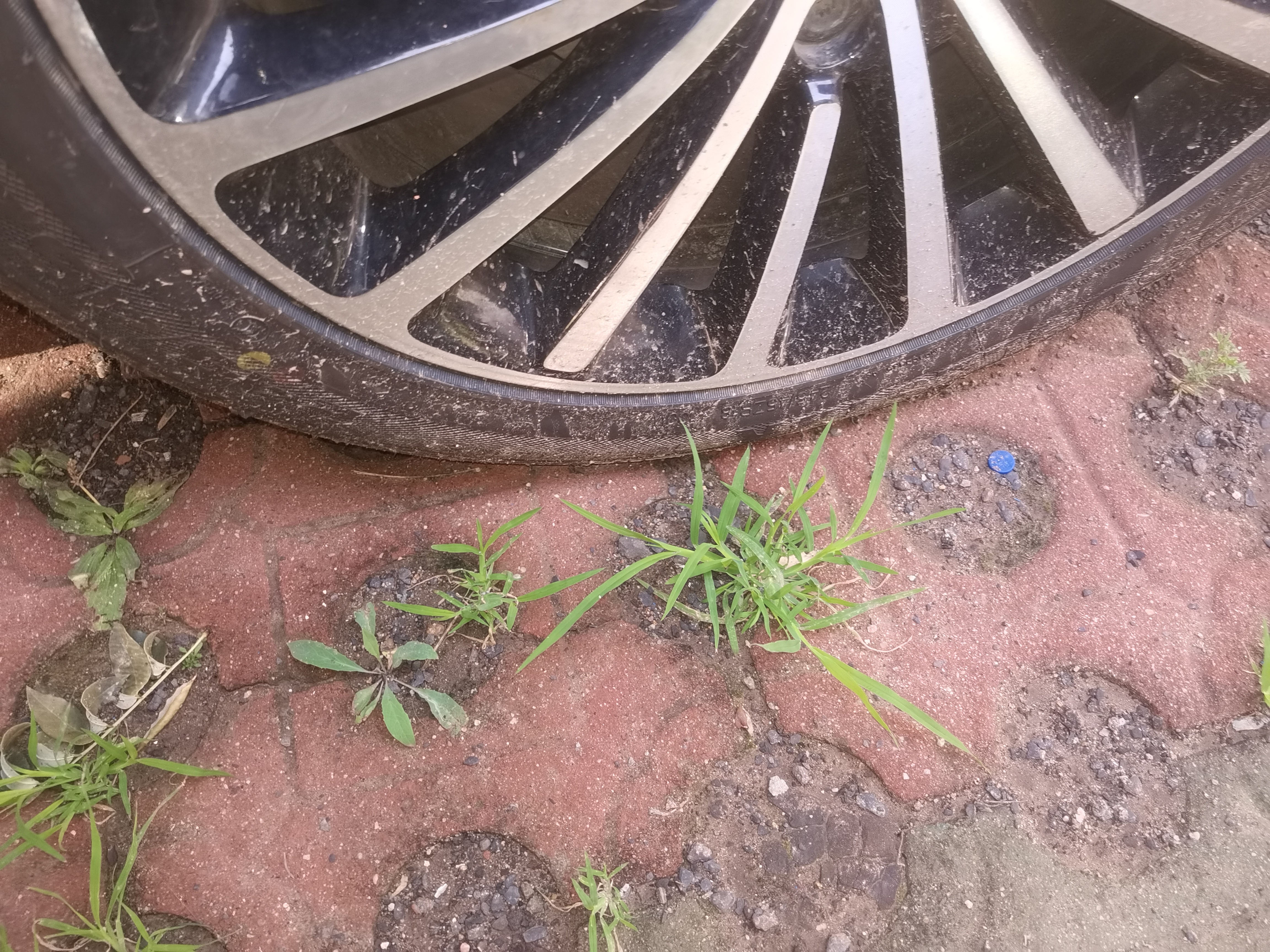 双星JUOGO轮胎 245/45R18 ZR 100W X51 适配奔驰E级/凯迪拉克CT5 实拍图