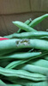 农家四季豆新鲜现摘云南长扁豆角农家应当季蔬菜芸豆现摘菜豆 新鲜四季豆2斤带箱 实拍图