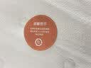 全友（QUANU）家居天然椰棕独立弹簧床垫席梦思床垫子1.8x2米乳胶床垫软硬适中 【椰岛0胶·Slim】小薄垫 高箱床标配 | 床垫15cm厚 1.8米x2米 实拍图
