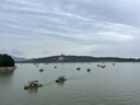 品胜电动车手机支架【四角防震】摩托电瓶车手机支架山地自行车手机支架外卖骑行导航支架九号爱玛雅迪 实拍图