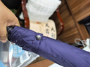 天堂伞 全自动雨伞三折 10骨加固一键开收易甩干简约商务自动雨伞 紫兰 实拍图