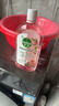 滴露（Dettol）衣物消毒液自然香氛洗衣除菌液 除螨除异味去汗臭48h留香1000ml*1 实拍图