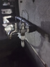 沐唯（muvi）洗衣机进水管加长滚筒全自动通用卡扣连接上注水管配件PVC3mJSG30 实拍图