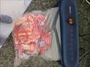 得力真空封口机家用小型全自动真空包装机食品塑封机干湿两用大吸力真空保鲜打包机内置切刀 LM880 实拍图