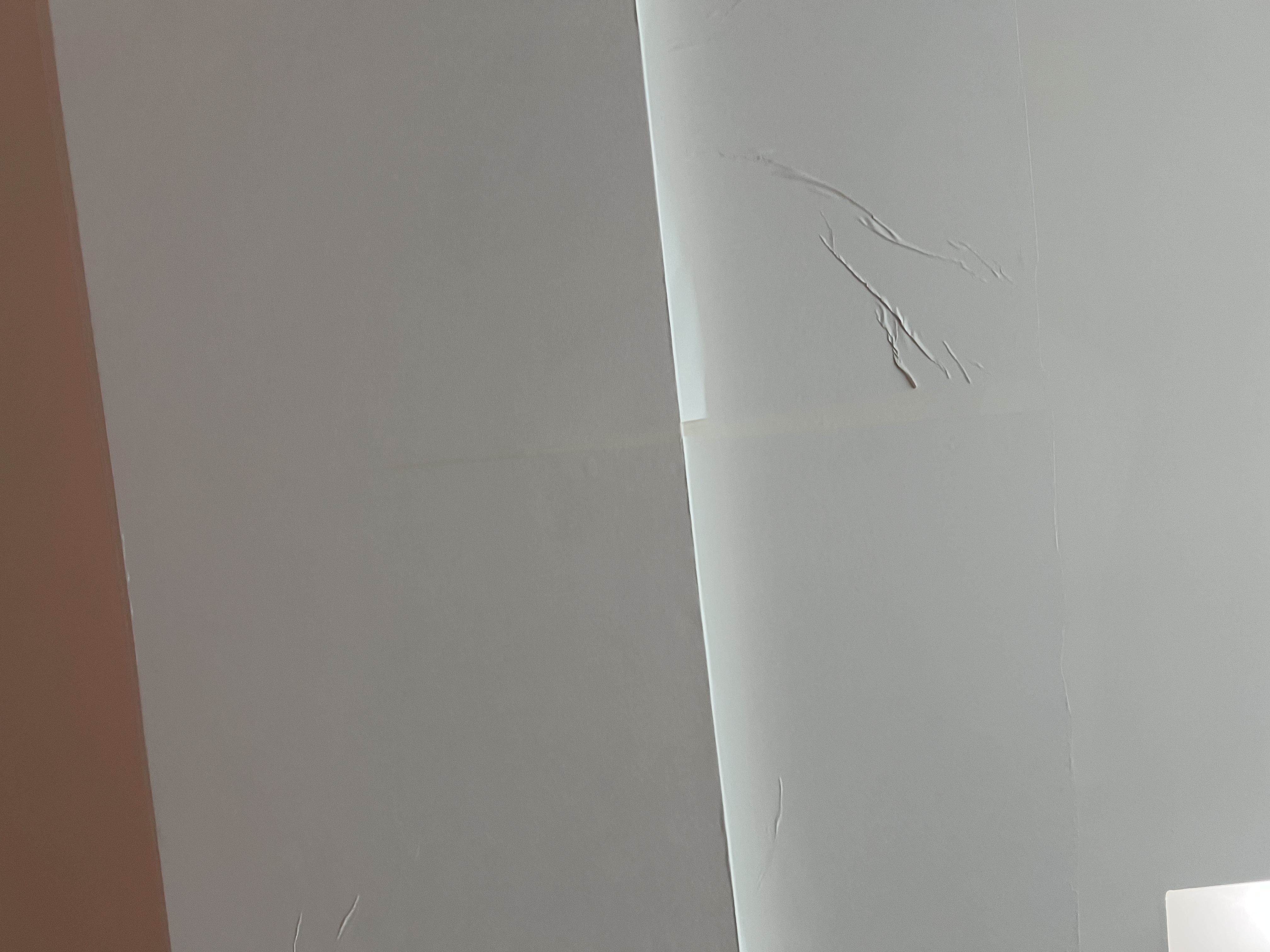 墨斗鱼墙贴纸自粘白色墙纸0.45*10米防水遮瑕墙壁贴纸客厅卧室翻新贴 实拍图