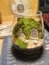 苔映苔藓微景观创意桌面微观造景植物摆件礼物减压绿植生态瓶diy材料 精灵小镇-材料包-瓶子+素材+工具 实拍图