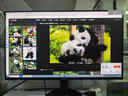 飞利浦23.8英寸 LGD-IPS纤薄屏 四窄边 全高清 120Hz 低蓝光 HDMI+VGA 节能办公显示器 显示屏24E2N1110S 实拍图