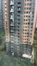 佳妍水气球户外游戏打水仗 派对团建水弹自动封口快充水球100个 实拍图