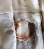 上海故事【升级加密30%】桑蚕丝真丝丝巾空调披肩礼盒送妈妈女友生日礼物 实拍图