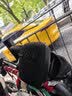 纽曼BT503 户外骑行蓝牙音箱迷你小音响便携式随身跑步运动可插卡自行车音箱带骑行支架 黑色 实拍图