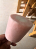 奥雪大冰桶 白桃牛奶口味雪糕 95克*4支/盒 冰淇淋 甜品 家庭装冰棍 实拍图