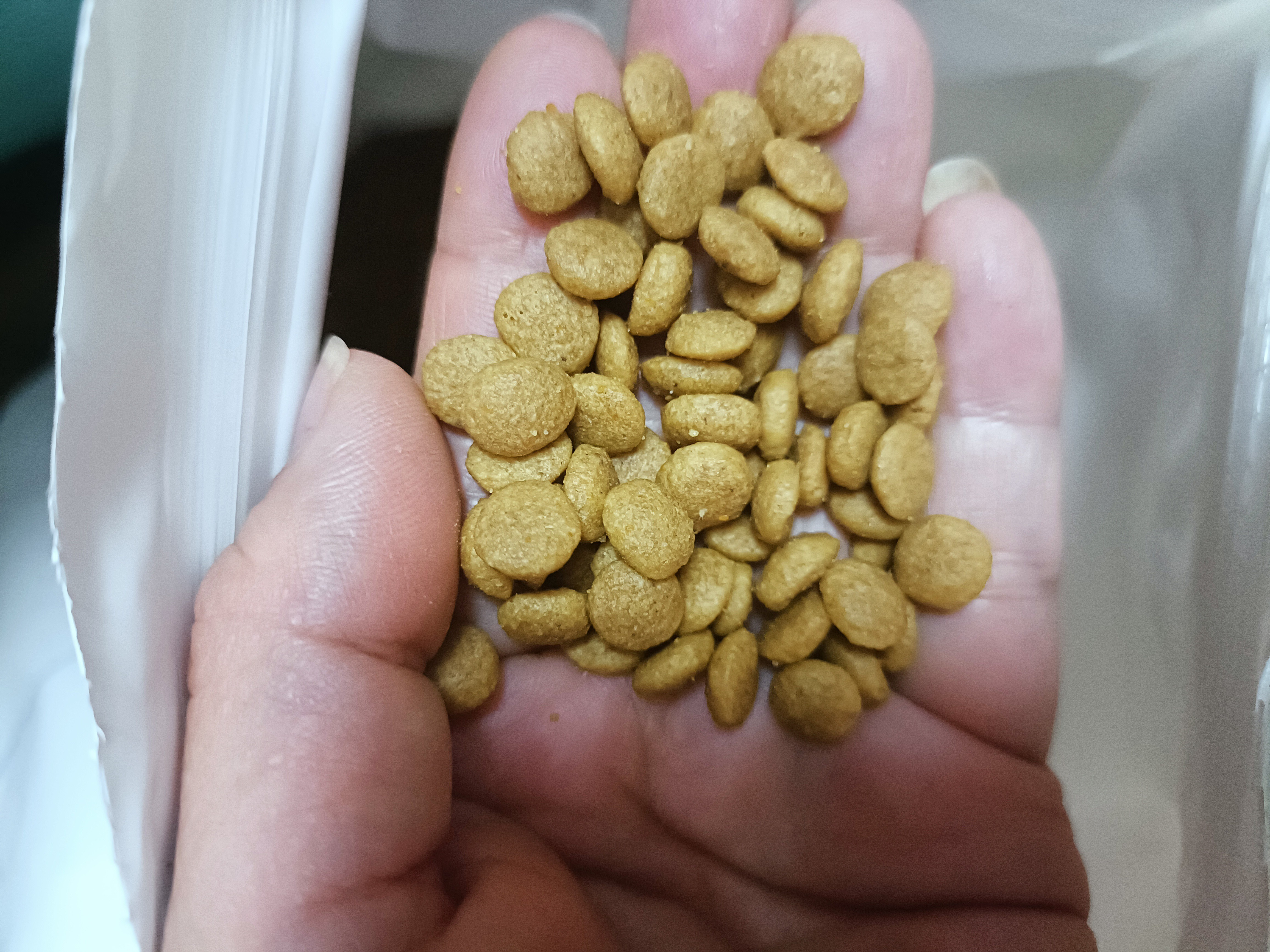 冠能猫粮室内成猫猫粮10kg 全价猫粮 添加膳食纤维 控制毛球 实拍图