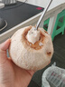 佳沃（JOYVIO）泰国进口香水椰皇 大果 4粒装 600g+/粒  水果源头直发包邮 实拍图