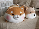 名创优品（MINISO）趣味阿柴弹力超柔趴姿公仔毛绒玩偶儿童玩具抱枕靠枕生日礼物女 实拍图