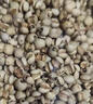 福东海 贵州小薏米500克 除湿气搭红豆祛湿茶健脾薏苡仁五谷杂粮粥薏仁 实拍图