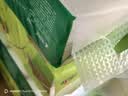 心相印【樊振东推荐】无芯卷纸 茶语丝享4层100g*40卷 纸巾 卫生纸 整箱 实拍图
