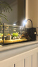 宠翰鱼盐鱼缸清洁盐观赏鱼水族盐海盐净化水质养鱼用品2斤 实拍图