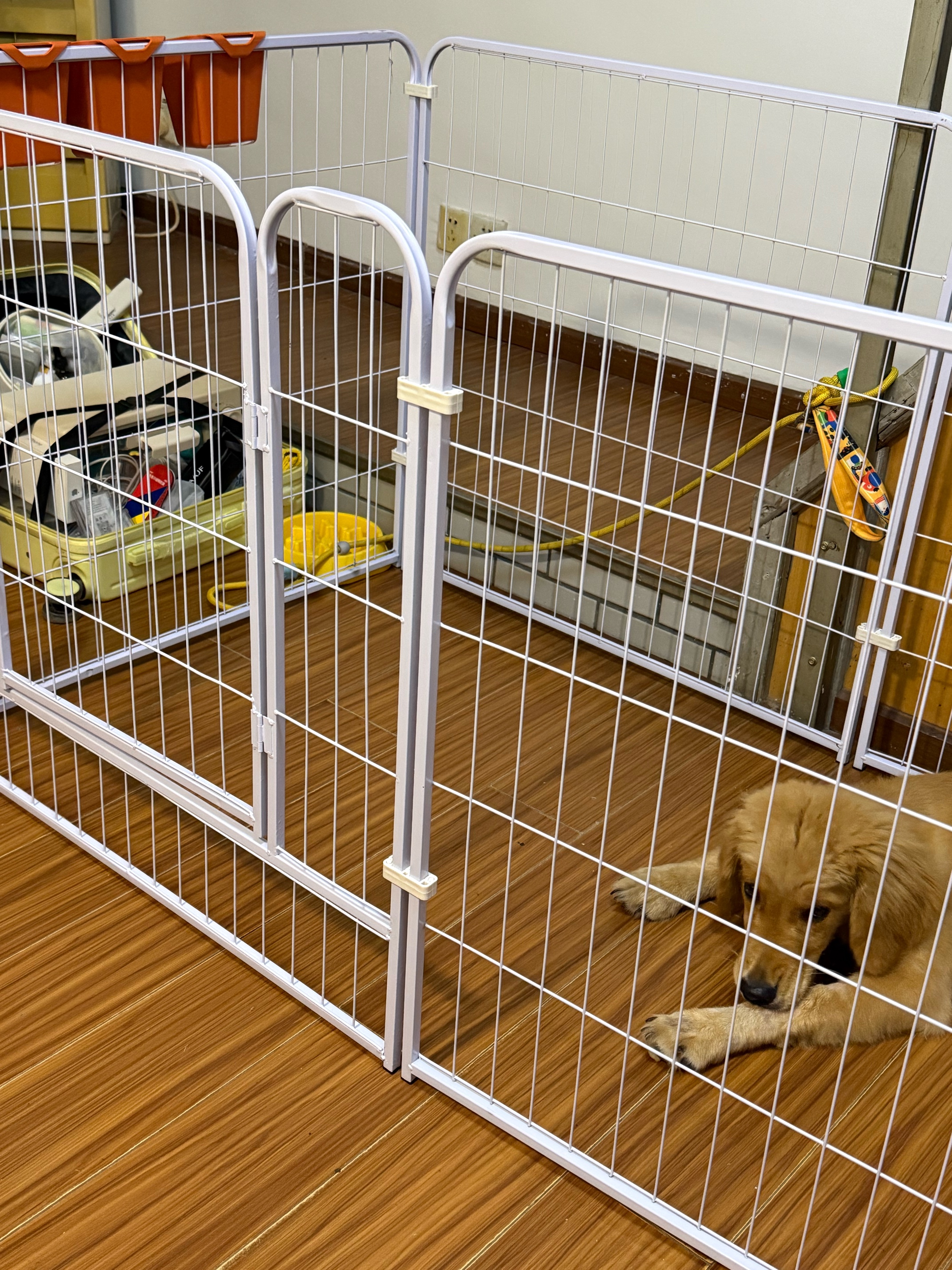 贝初众狗围栏室内宠物围栏狗笼子狗栅栏狗笼小中大型犬猫围栏狗笼折叠 160*80*80【适合中大型犬】 【6片】自由拼接组合围栏 加粗加密框架/无惧啃咬 实拍图