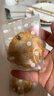 金炉子老字号金华酥饼特产200g薄酥糕点心下午茶办公室解馋非遗零食小吃 实拍图