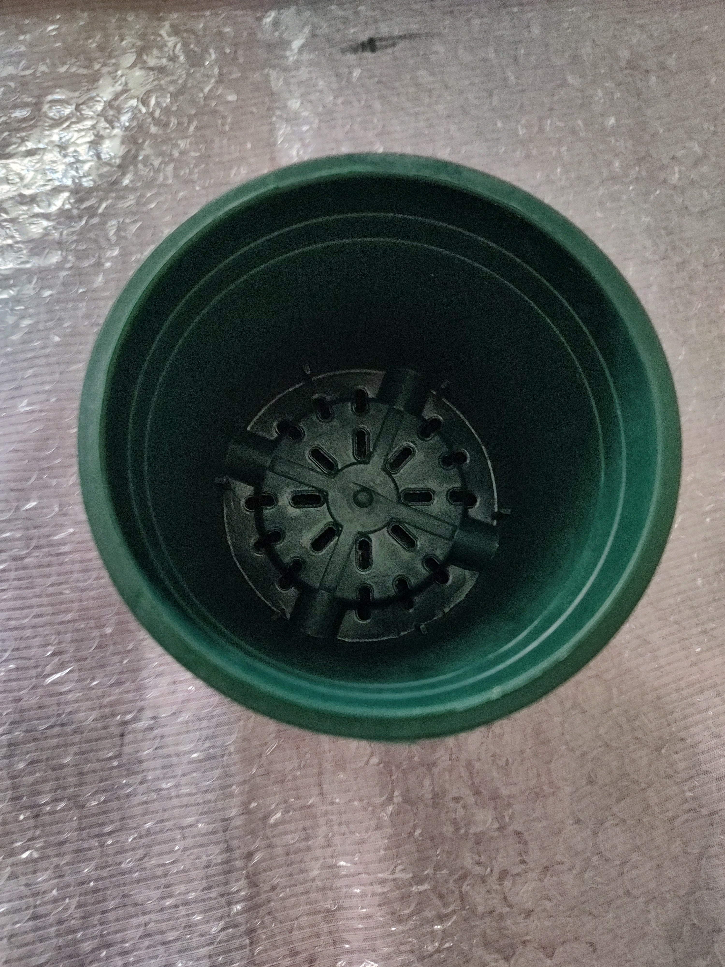 花盆绿植盆栽加厚塑料简约多肉小盆阳台客厅月季玫瑰大号家用花盆 矮款0.5加仑(口径10cm)2个盆 配套托盘 实拍图