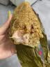 诸老大诸事鸿端午节粽子礼盒10粽1120g全肉粽蛋黄五花肉2026新款团购 实拍图