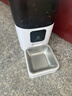 PAPIFEED猫咪自动喂食器宠物定时定量投食机猫粮狗粮碗wifi远程智能投粮 实拍图
