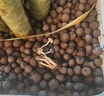 史丹利大号陶粒5L垫底养花专用花盆铺面多肉花卉种花陶土颗粒园艺陶粒土 实拍图