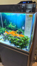 森森（SUNSUN）大型鱼缸底过滤水族箱客厅家用落地玻璃生态金鱼缸 【实时温显+灯控】纳米灰 0.6米长35cm宽 实拍图