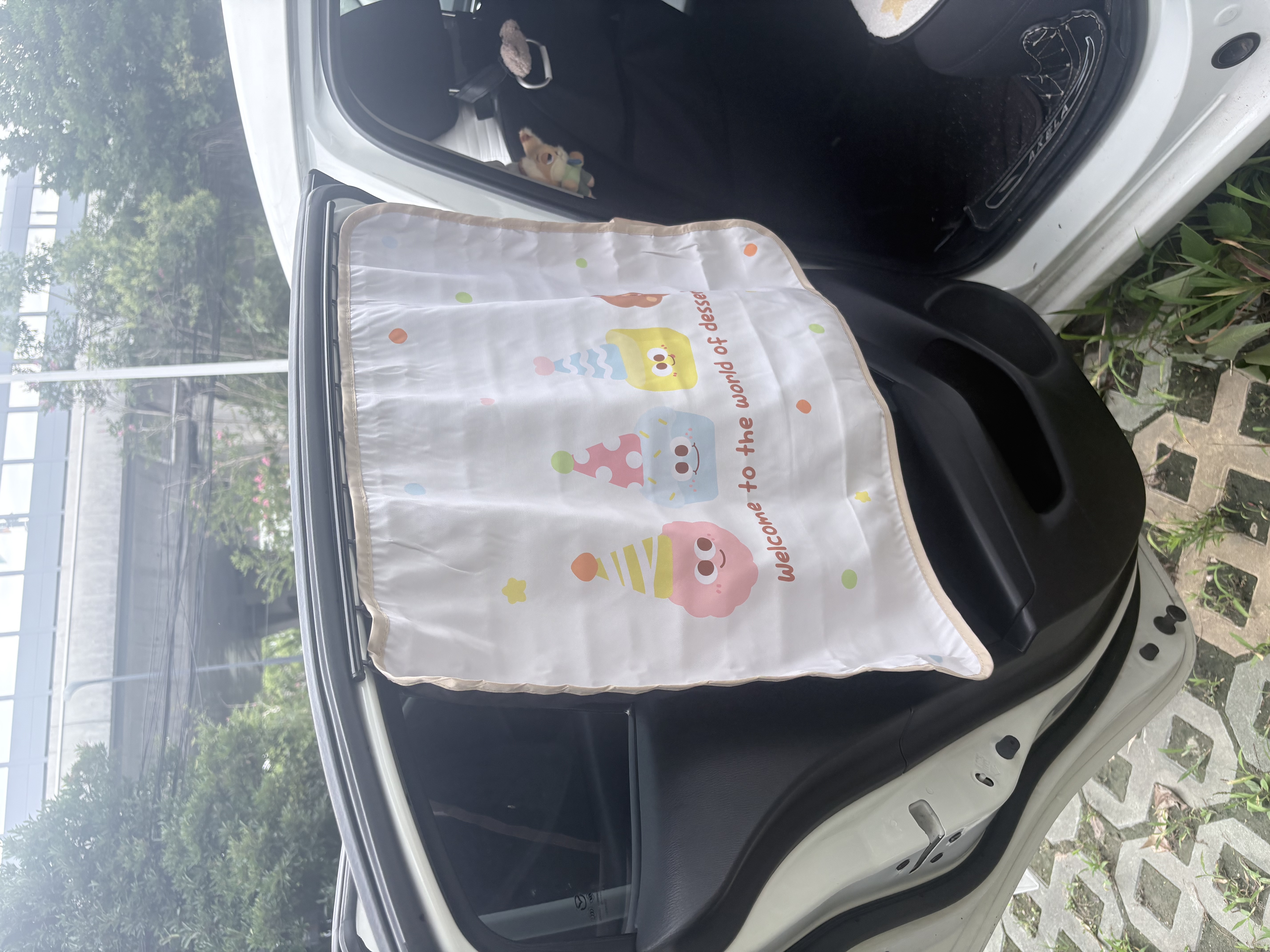 繁夏汽车遮阳帘隐私帘子防晒隔热挡窗帘宝宝挡光儿童车载卡通长途出行 实拍图