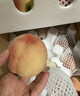 京鲜生山西脆蜜桃 净重3斤 单果150g+ 生鲜水果 源头直发 实拍图