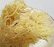 裕庆堂 龙须菜255g 半干石花菜鹿角菜 凉拌菜海洋蔬菜干货 实拍图