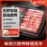 硒全食美无抗富硒老鸽 净重400g*2只 冷冻 鸽子生鲜煲汤烧烤鸽子肉鸽 实拍图
