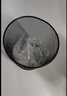 五月花金属网垃圾桶办公室直投15L*3只铁丝环保宿舍客厅厨房卫生间纸篓 实拍图