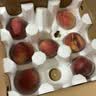 采缇（CAITI）现货现摘山东蒙阴水蜜桃大果5斤当季新鲜桃子脆甜孕妇水果整箱 精选3斤装 中果 实拍图