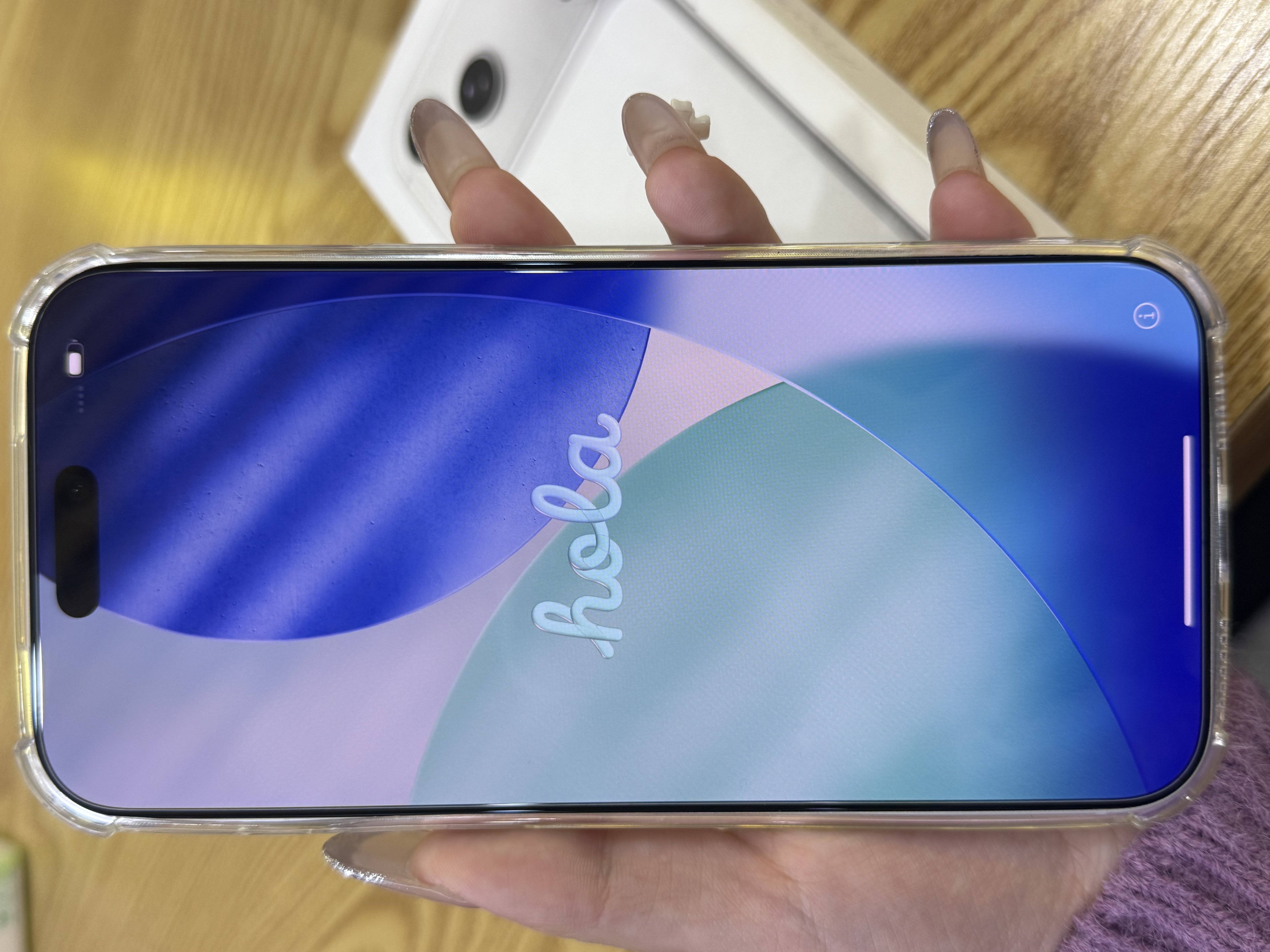 Apple/苹果【需签收激活】iPhone 17 Pro Max 256GB 银色 支持移动联通电信5G 双卡双待手机 实拍图