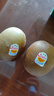 佳沛（zespri）新西兰阳光金奇异果10粒巨大果单果146-175g 猕猴桃水果礼盒 实拍图