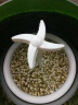 康丽家用豆芽机全自动智能大容量发豆牙菜桶自制小型生绿豆芽罐盆芽苗机 绿色双层 晒单实拍图