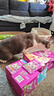 伟嘉主食猫罐头软包主食餐包 进口成猫妙鲜包(金枪鱼+海洋鱼)味85g*6 实拍图