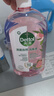 滴露（Dettol）衣物消毒液自然香氛洗衣除菌液 除螨除异味去汗臭48h留香1000ml*1 实拍图