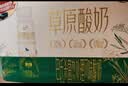 伊利【新鲜日期】草原酸奶巴氏杀菌原味酸奶230g*10瓶/箱 礼盒装 实拍图