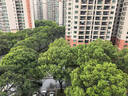 迪卡侬跑步袜吸汗透气速干薄款袜子运动袜短袜3双装5245473 实拍图