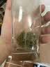 保银茶叶国庆节送礼信阳毛尖新绿茶明前头采手工芽尖500g礼盒源头直发 实拍图