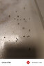 坤宁王跳蚤专用杀虫剂床上家用室内非无毒喷雾药宠物猫狗窝驱虫500ml 实拍图