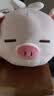 名创优品（MINISO）小猪B-BO翅膀款趴毛绒公仔玩具玩偶抱枕娃娃靠枕生日礼物女 实拍图