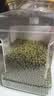 首粮有机东北绿豆2.2斤罐装夏季低脂解暑汤可发芽打豆浆粗粮五谷杂粮 实拍图