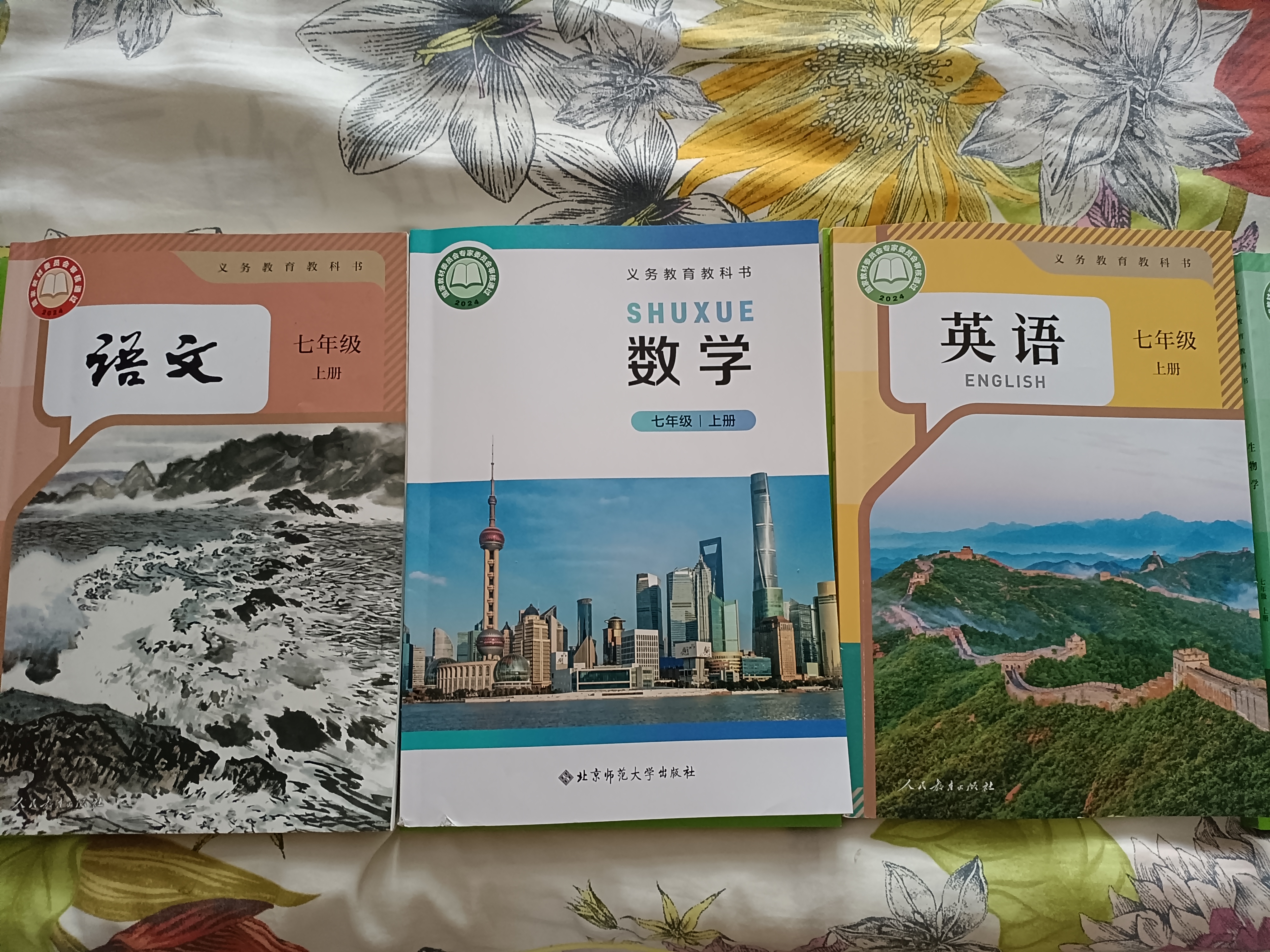京东京造扫把簸箕套装 家用清洁垃圾铲加密梳齿笤帚扫地扫帚两件套 实拍图