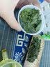 兰华溪安溪铁观音茶清香型特级2026新茶高山兰花香茶叶礼罐装 【尝鲜装】一罐250g 特级铁观音-自饮送礼皆宜 实拍图