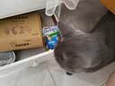 卫加全价猫粮10斤装 成猫猫咪主粮全阶段通用型5kg 实拍图