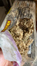 史丹利水苔150g 蝴蝶兰专用土干苔藓养兰花的营养土优质文石斛心兰乌龟 实拍图